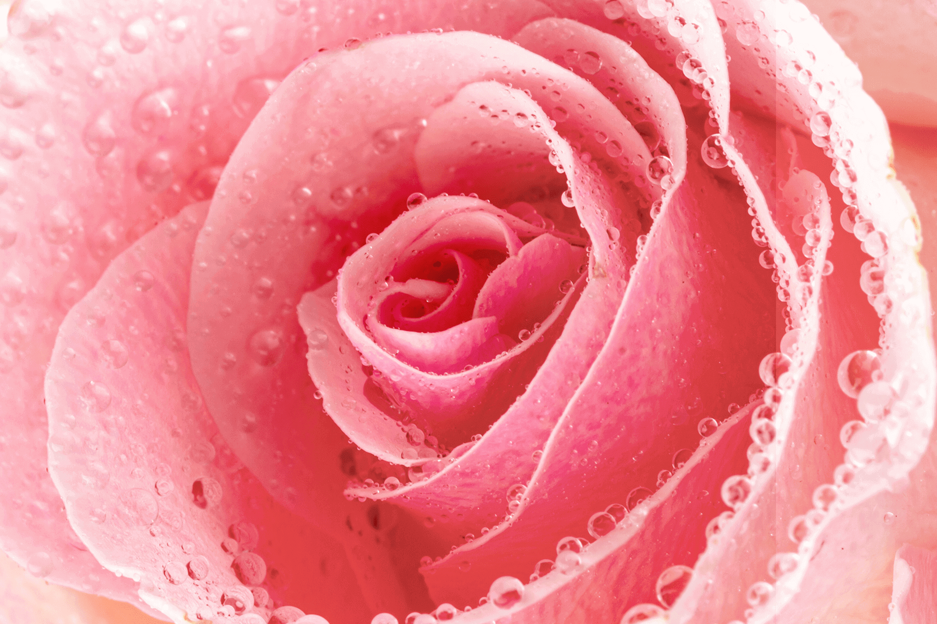 Hydra Glow Face Serum 